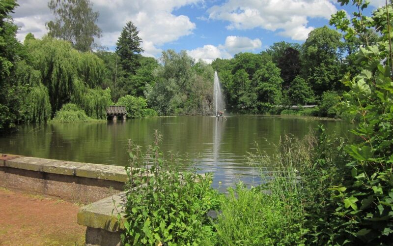 Gartenteich mit klarem Teichbelüftung Hybrid · Wasser dank Hybrid-Belüftungssystem Solar + Netzstrom