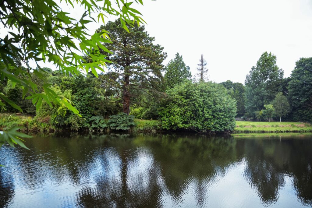 Klares Wasser ohne Chemie · Naturteich mit klarem Wasser dank Belüftung ohne Chemie