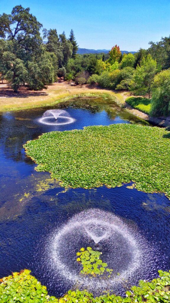 Wasserbelüfter auf einem Teich der sprudelnd das Wasser mit Sauerstoff anreichert