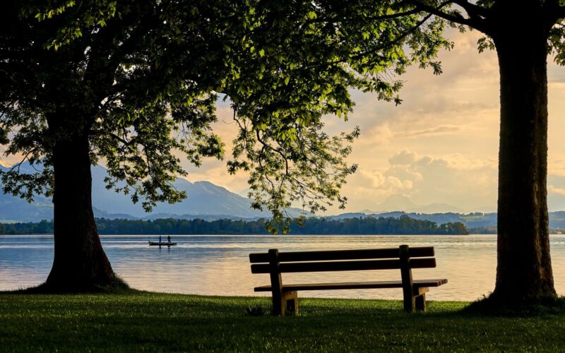Belüftung bei Fischteichen · Großer Fischteich mit dichter Besatz und aktivem Belüftungsfeld im Sommer