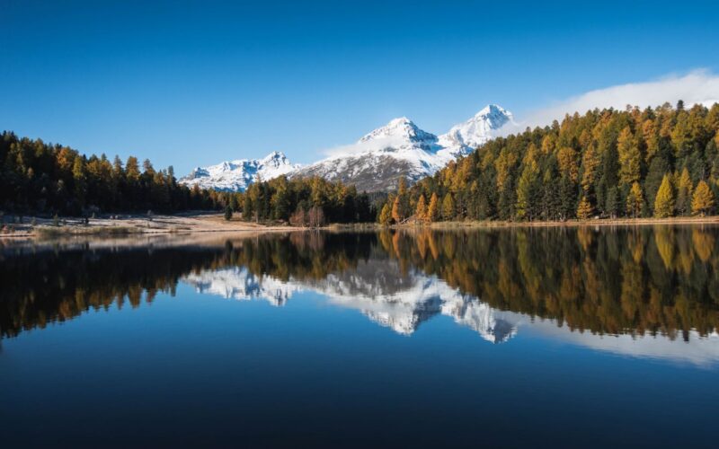 Belüftungssysteme wie Sprudler und Pumpen erhöhen den Sauerstoffgehalt im Forellenteich und sorgen für gesunde, stressfreie Forellen.