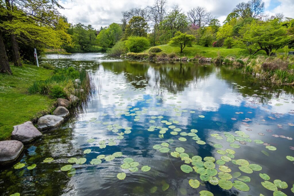 Wasserbelüftung für Fischteiche – Sauerstoffversorgung & Teichgesundheit · Wasseroberfläche eines Fischteichs mit sichtbarer Umwälzung durch Belüftung