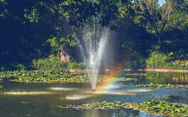 Installation eines Solar-Belüftersets mit Akku und Solarmodul neben einem Fischteich