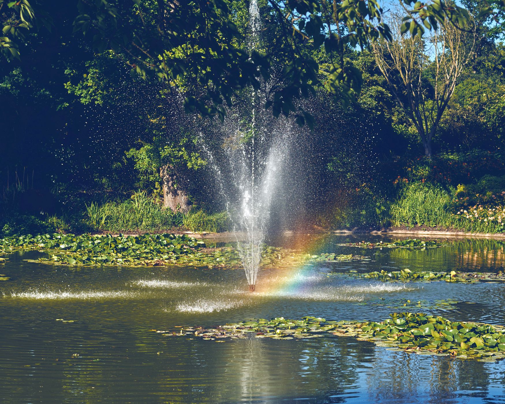 Installation eines Solar-Belüftersets mit Akku und Solarmodul neben einem Fischteich