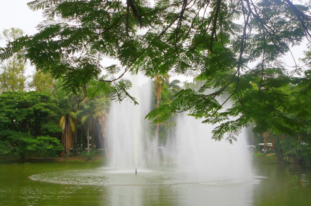 Die besten Teichbelüfter · Oberflächenbelüfter in flachem Teich reduziert Algenbildung bei Tageslicht