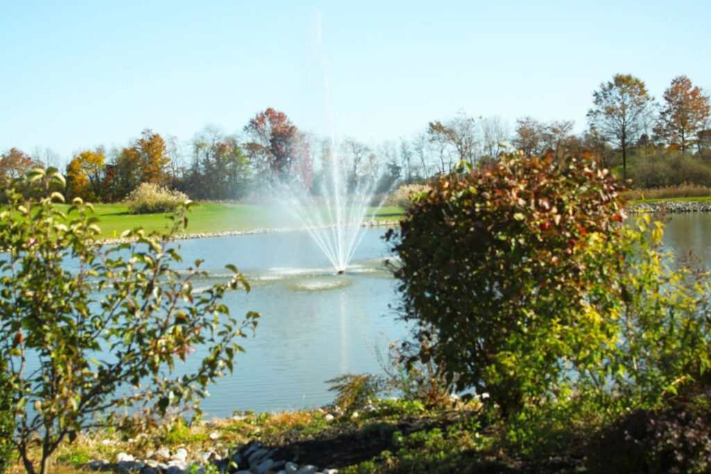 Belüftung bei Fischteichen · Fische im Fischteich atmend nahe der Oberfläche – Hinweis auf Sauerstoffmangel ohne Belüftung