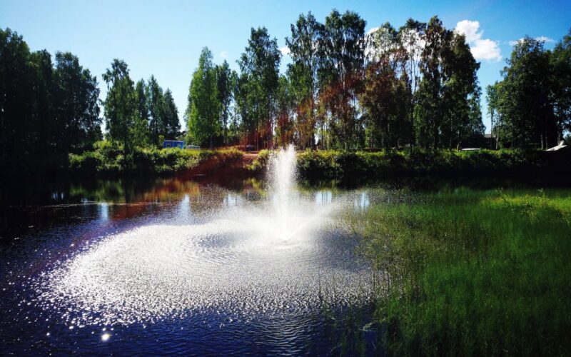 Teich Checkliste · Gartenteich mit klarem Wasser – erfüllt alle Punkte der Teich-Checkliste