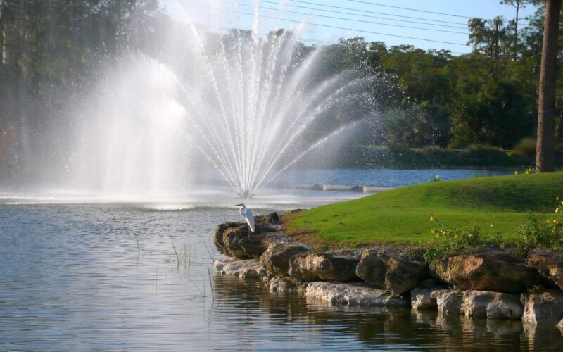 Grundlagen erklärt · Gartenteich klare Wasseroberfläche und belüftete Tiefenzone – Beispiel für funktionierende Belüftung
