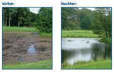 Vergleich eines Teiches ohne Wasserbluefter und vielen Algen, danach mit Teichbeluefter ohne Algen