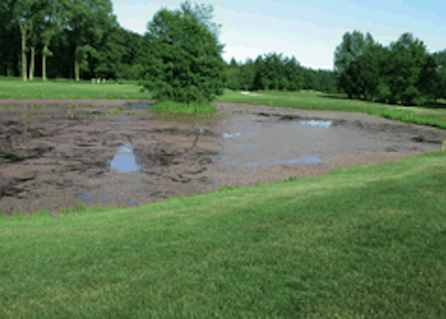 Teich ohne Wasserbluefter und mit vielen Algen