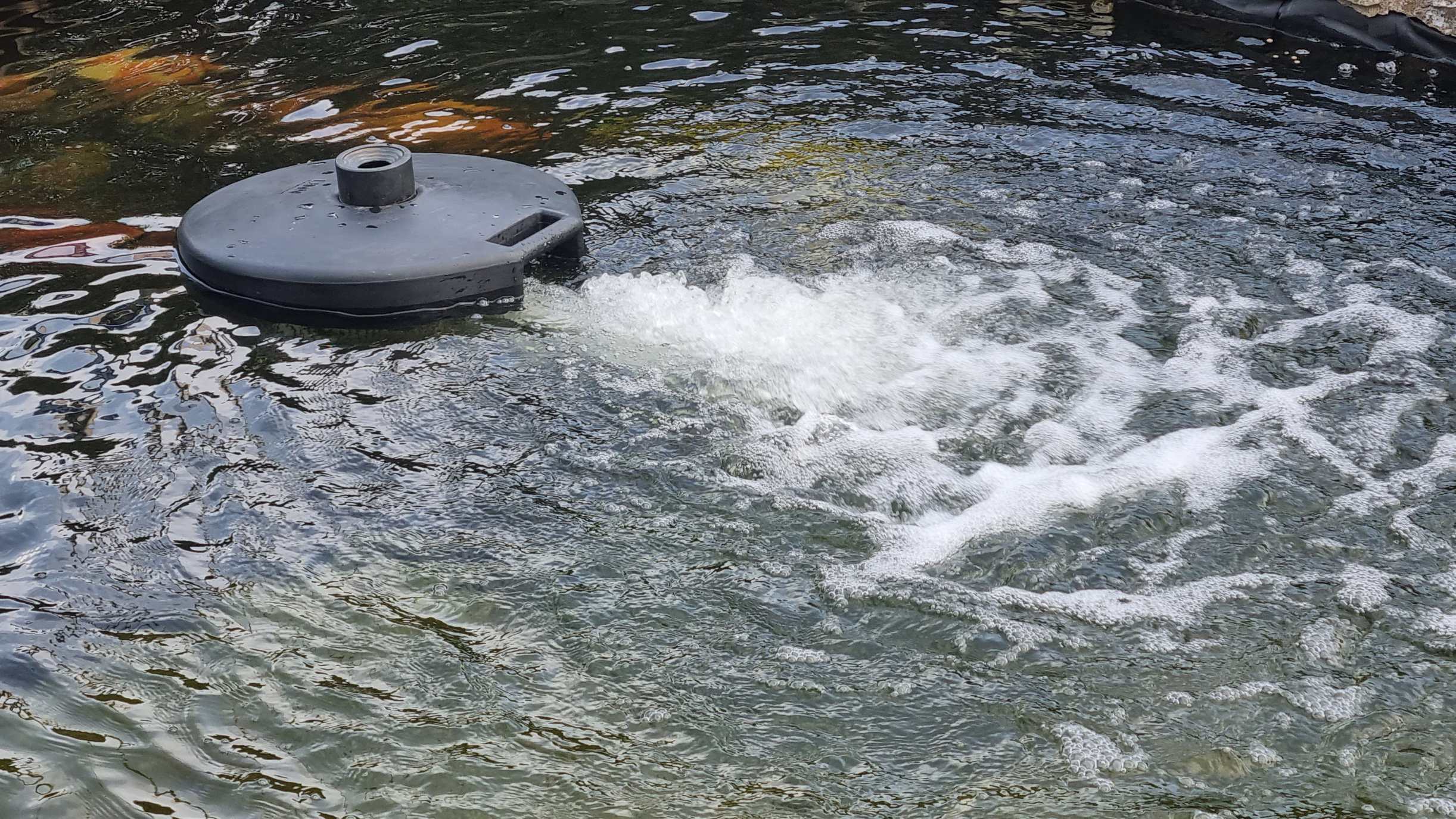 Power-Air HSB im Einsatz in einem länglichen Fischbecken – deutlich erkennbar ist die horizontale Wasserströmung, die eine gleichmäßige Verteilung bewirkt. Power-Air HSB im Einsatz in einem länglichen Fischbecken – deutlich erkennbar ist die horizontale Wasserströmung, die eine gleichmäßige Verteilung bewirkt.