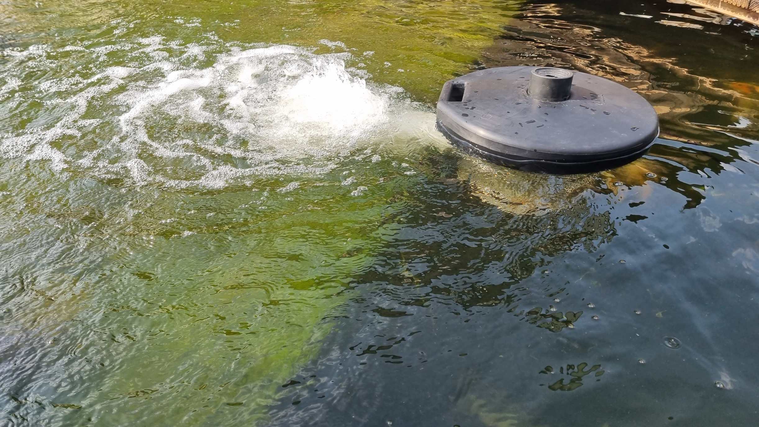Power-Air HSB im Einsatz in einem länglichen Fischbecken – deutlich erkennbar ist die horizontale Wasserströmung, die eine gleichmäßige Verteilung bewirkt. Power-Air HSB im Einsatz in einem länglichen Fischbecken – deutlich erkennbar ist die horizontale Wasserströmung, die eine gleichmäßige Verteilung bewirkt.