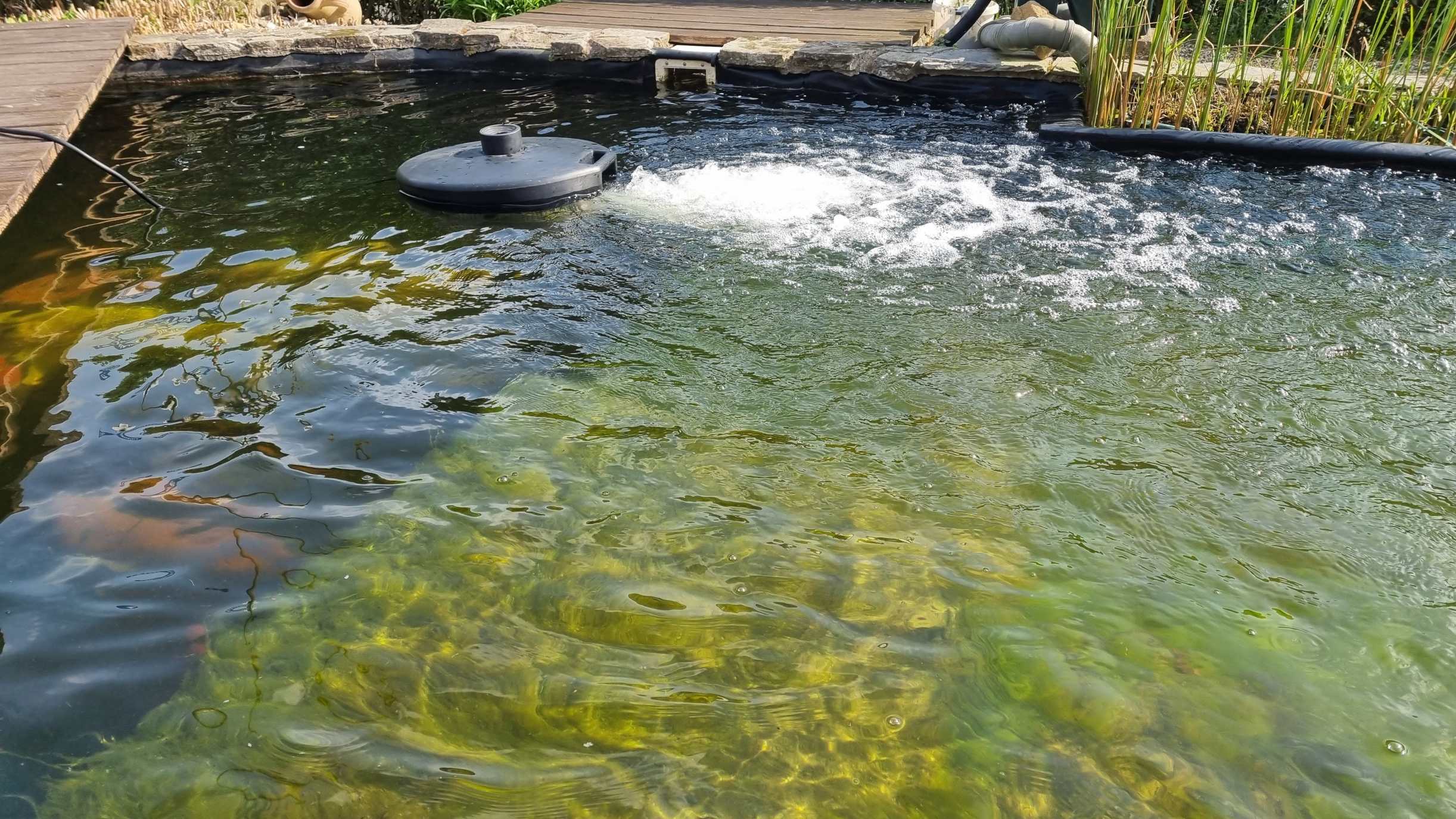 Power-Air HSB im Einsatz in einem länglichen Fischbecken – deutlich erkennbar ist die horizontale Wasserströmung, die eine gleichmäßige Verteilung bewirkt. Power-Air HSB im Einsatz in einem länglichen Fischbecken – deutlich erkennbar ist die horizontale Wasserströmung, die eine gleichmäßige Verteilung bewirkt.