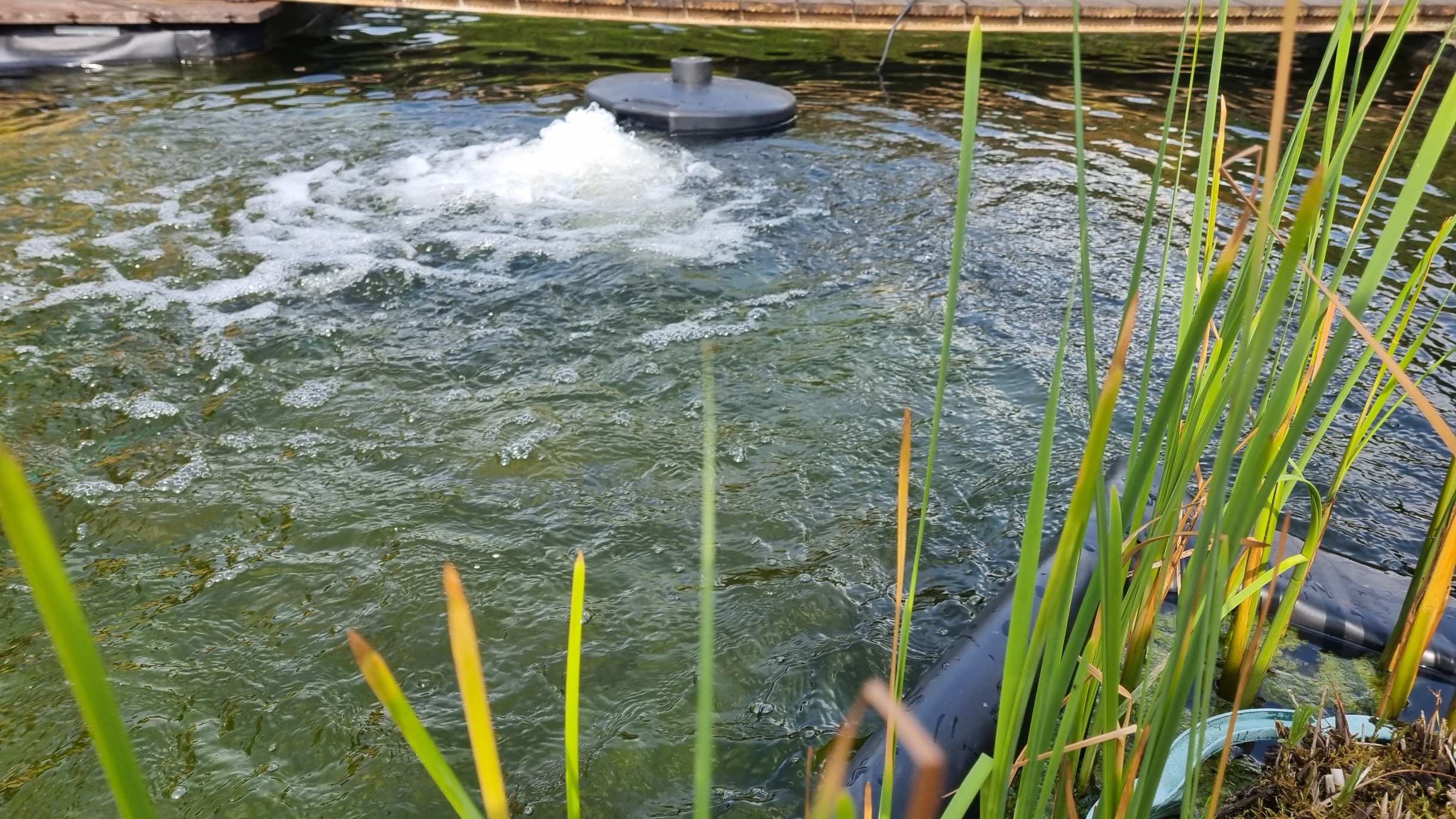 Power-Air HSB im Einsatz in einem länglichen Fischbecken – deutlich erkennbar ist die horizontale Wasserströmung, die eine gleichmäßige Verteilung bewirkt. Power-Air HSB im Einsatz in einem länglichen Fischbecken – deutlich erkennbar ist die horizontale Wasserströmung, die eine gleichmäßige Verteilung bewirkt.