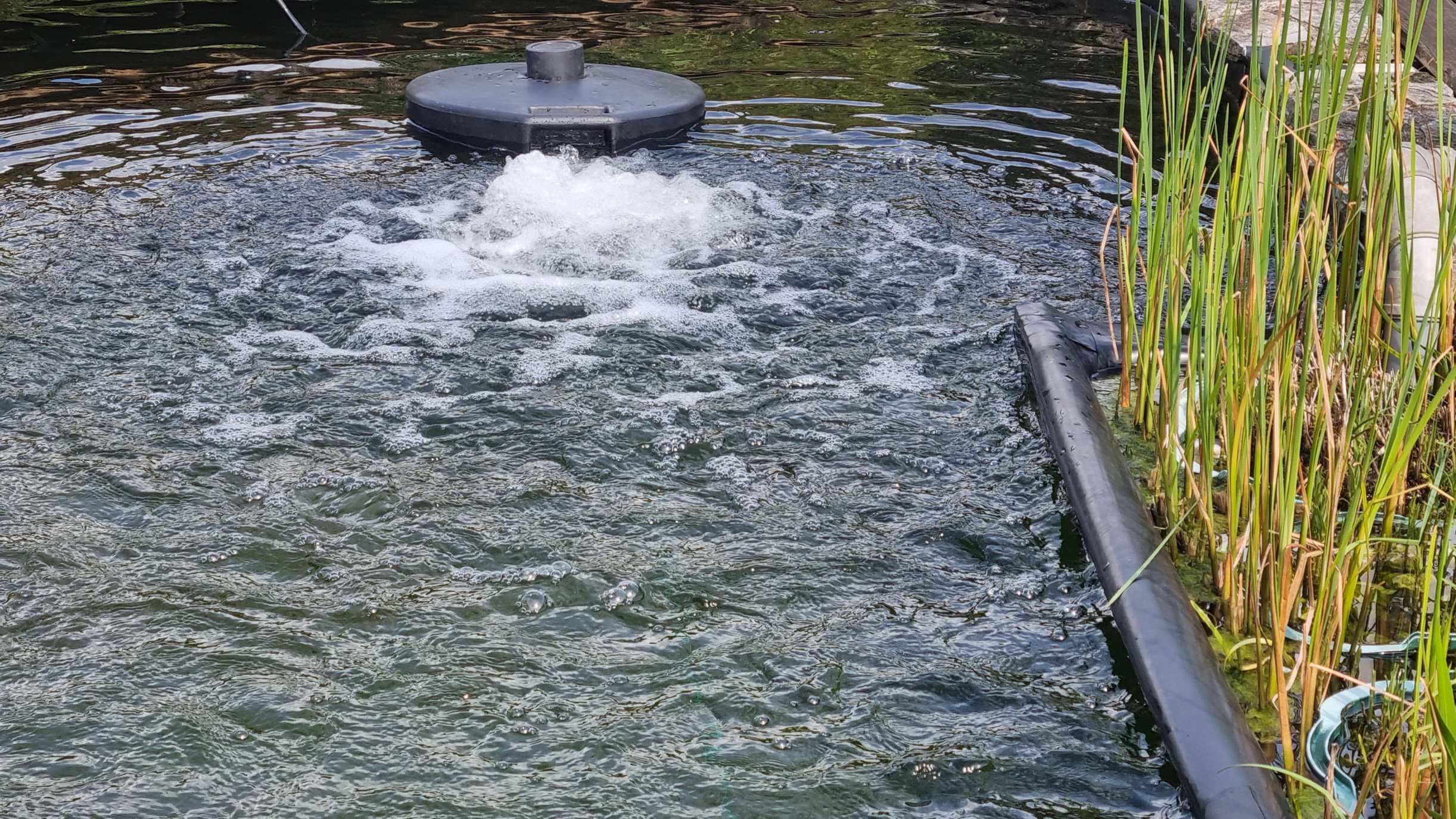 Power-Air HSB im Einsatz in einem länglichen Fischbecken – deutlich erkennbar ist die horizontale Wasserströmung, die eine gleichmäßige Verteilung bewirkt. Power-Air HSB im Einsatz in einem länglichen Fischbecken – deutlich erkennbar ist die horizontale Wasserströmung, die eine gleichmäßige Verteilung bewirkt.