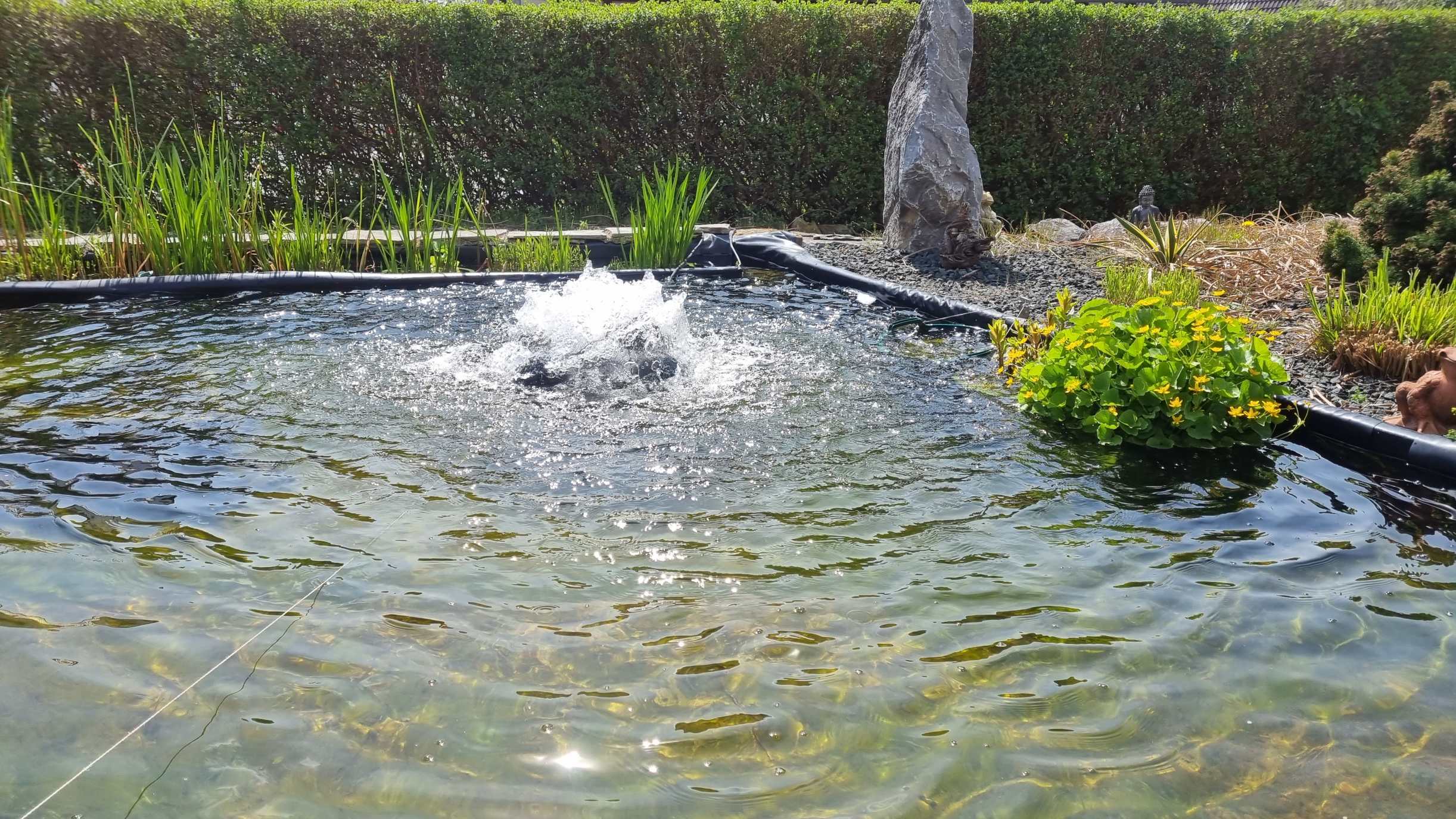 PowerAir 50 Solar schwimmender Oberflächenbelüfter im Fischteich PowerAir 50 Solar schwimmender Oberflächenbelüfter im Fischteich