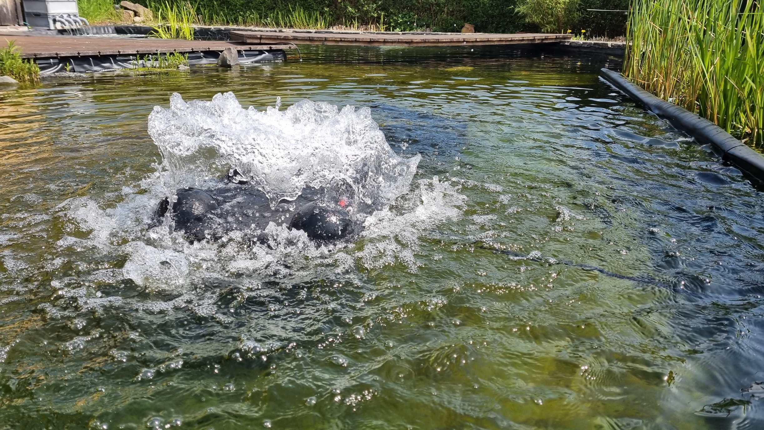 Wasserumwälzung und Belüftung PowerAir 50 Solar Teichinstallation Wasserumwälzung und Belüftung PowerAir 50 Solar Teichinstallation