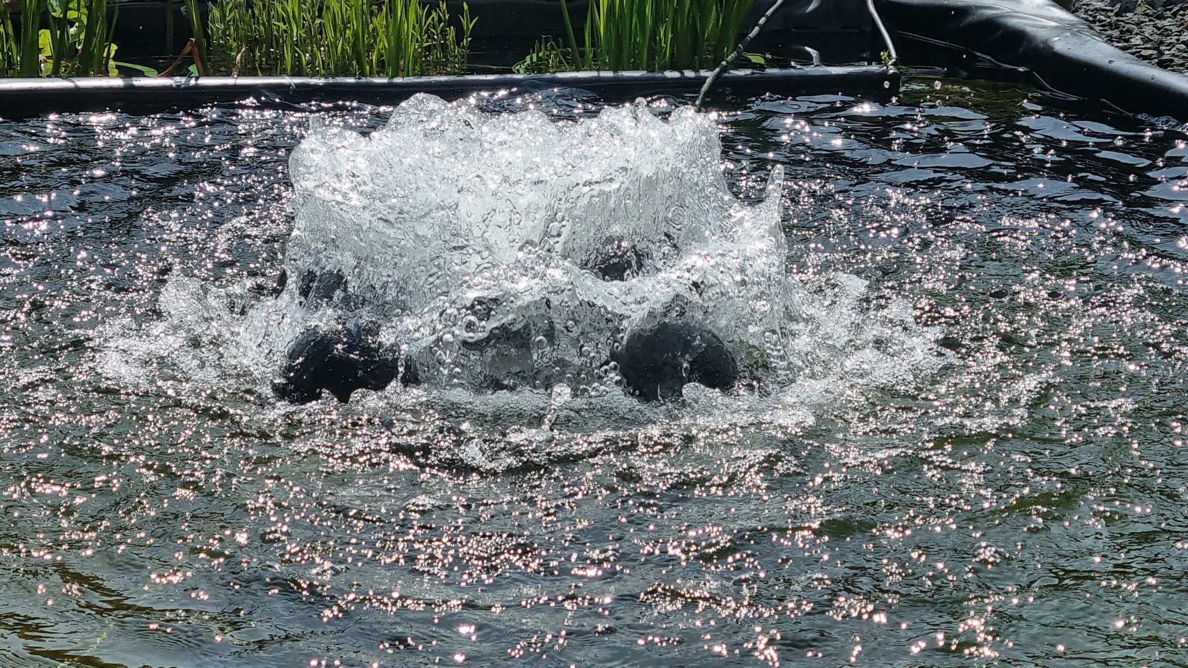 Wasserumwälzung und Belüftung PowerAir 50 Solar Teichinstallation Wasserumwälzung und Belüftung PowerAir 50 Solar Teichinstallation